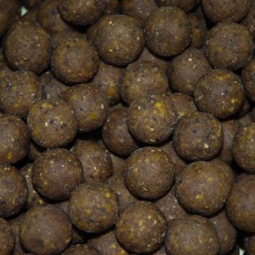 Tubertini